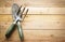 Small gardening shovel and fork on wooden background