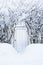 Small gate in hedgerow at winter