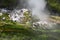 Small geyser in the Waimangu River