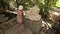 Small Girl Climbs on Lion Sculpture in Buddhist Temple