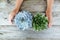 Small girl holding flowers or cactus variety in stone flowerpot on weathered wooden table