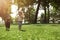 Small girl and labrodor running in the park, full length shot