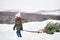 A small girl pulling a Christmas tree in forest.