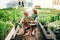 Small girl with senior grandfather gardening in the greenhouse.