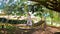 Small girl wearing mask playing alone on a playground