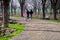 Small girls cycling her pick bicycle in botanical park