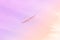 Small glider flying against the pink sky, concept of dream, happy future and positive outlook on life