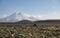 Small grass leaves in macro make their way through gravel and dense earth on a blurred background of Mount Elbrus with snow