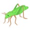 Small grasshopper icon isometric vector. Verdant creature