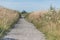 A small gravel path with grass and reeds on both sides