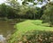 Small green bank by lake side