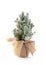 Small green decorative Christmas tree wrapped in burlap stand over white