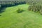 Small green field with oaks in the middle, is surrounded with the wood. drone photo