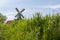 Small green mill in the Netherlands in green field with grass