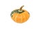 Small green and orange disc-shaped ornamental gourd