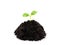 Small green plant sprout leaf growth at dirt soil heap