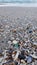 Small green sea glass among various wet seashells