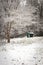 Small green shed stands out in white, winter snow scene