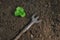 A small green strawberry sprout with a nearby weeding tool, top view, Concept of gardening, gardening. copy space