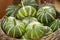 Small green striped pumpkins in a wicker basket, close-up wallpaper background. Harvesting pumpkins, vegetables in a basket