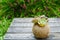 Small green succulent plant in rope ball pot on wooden background
