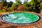 Small green swimming pool in a yard