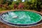 Small green swimming pool in a yard