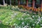 Small green wet garden with wooden gazebos and flooring