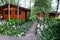 Small green wet garden with wooden gazebos and flooring