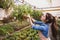 Small greenhouse business. Businesswoman selling flowers and seedlings, taking care of flowers in hanging baskets.