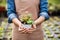 Small greenhouse business. Gardener holding potted succulent.