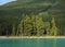Small Group Of Cedar Trees On Lake Maligne Jasper National Park