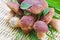 Small group edible mushroom on the wattled surface