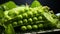 A small group green peas on a green background