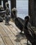 Small group of Pelicans on waterside dock