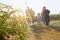 Small group of people multigeneration Asian family jogging together, outdoor morning run in nature trail organic rice paddy field