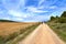 A small group of  pilgrims walking the Camino de Stiago in Spain, immersed in a peaceful countryside, surrounded by meadow fields