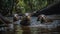 Small group of playful mammal friends swimming in tropical pond generated by AI