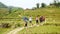 Small group of tourists follow local tour from Black Hmong