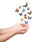 Small hand releasing butterflies ,flying dreams