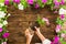 Small hands of a child transplanting petunias