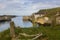 The small harbor at Ballintoy on the North Antrim Coast of Northern Ireland with its stone built boathouse on a day in spring