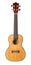 Small Hawaiian four stringed ukulele guitar