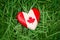 small heart with red white canadian flag maple leaf lying in grass on green forest nature background outside, Canada day
