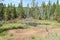 A Small Heated Pool, Yellowstone National Park