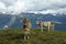 Small herd of alp calf cows on hills near Bettmeralp