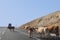 Small herd of cows crossing the road