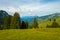 Small herd of cows graze in the Alpine meadow