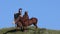 Small herd of horses against blue sky