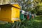 Small hives for honey production